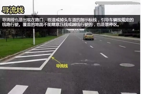 1559547703778411.jpg 640.webp (15).jpg