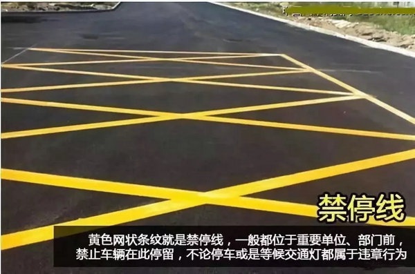 1559547810635337.jpg 640.webp (18).jpg