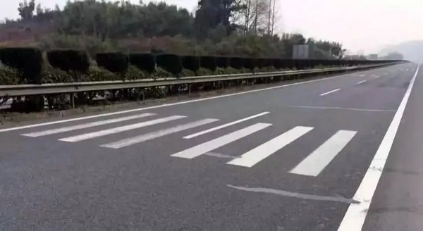 1559548689946416.jpg 640.webp (22).jpg